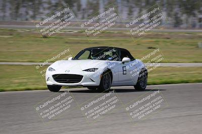 media/Mar-29-2025-Speed Ventures (Sat) [[9900210f0d]]/Purple/Grid and Front Straight/